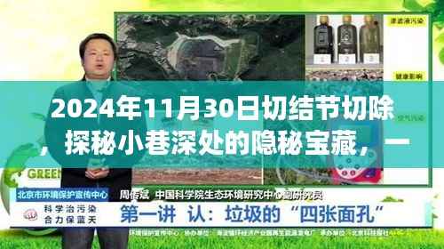 公司概况 第508页