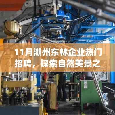 湖州东林企业热门招聘月,探索自然美景,寻找内心宁静之旅