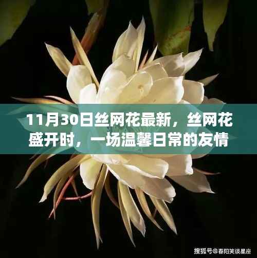 令行禁止 第5页