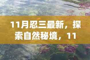 探索自然秘境,开启心灵之旅,11月忍三新旅程寻找微笑的力量