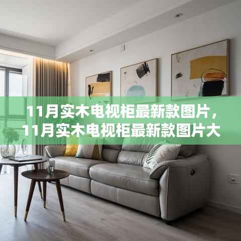 11月实木电视柜最新款图片大赏,时尚与经典的融合,温馨家居新风尚的缔造者!