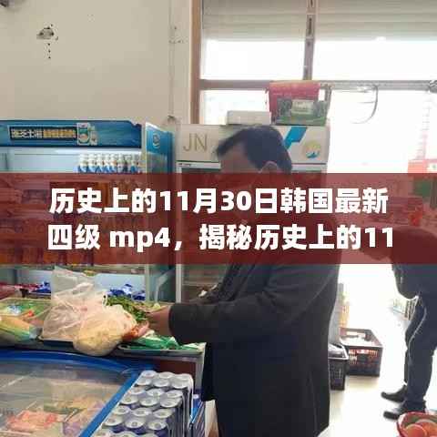 揭秘历史上的11月30日与韩国最新四级mp4背后的故事与影响