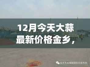 揭秘金乡大蒜市场最新动态,大蒜价格走势及最新价格分析