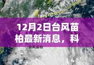 台风苗柏带动科技革新,智能生活体验报告——最新高科技产品亮相报告