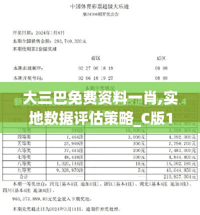 大三巴免费资料一肖,实地数据评估策略_C版147.363-3