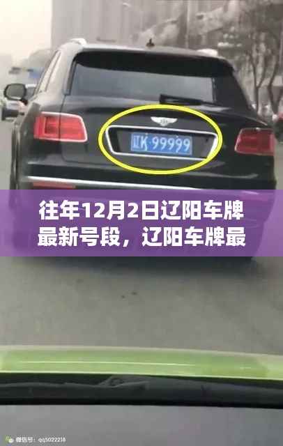 辽阳车牌最新号段查询指南,12月2日最新号段及查询步骤适用于初学者与进阶用户