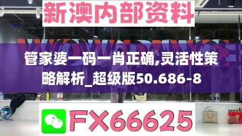 管家婆一码一肖正确,灵活性策略解析_超级版50.686-8