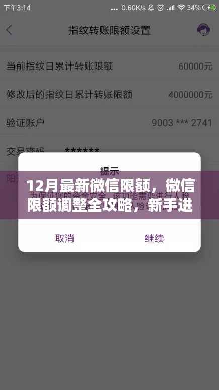 应对十二月微信限额新规,调整攻略与进阶指南