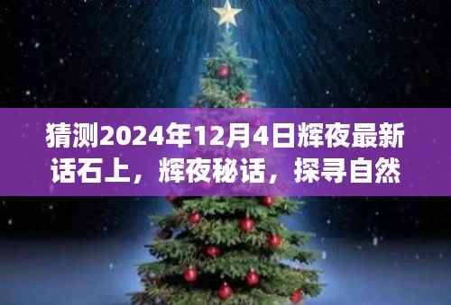 心灵探寻之旅,辉夜秘话与石上猜想之旅,探寻自然美景的宁静之旅(2024年12月4日)