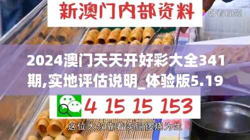 2024澳门天天开好彩大全341期,实地评估说明_体验版5.199