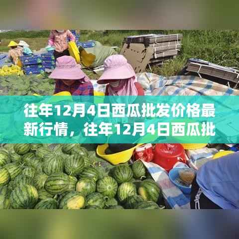 往年12月4日西瓜批发价格行情及分析概览