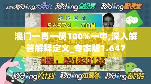 澳门一肖一码100%一中,深入解答解释定义_专家版1.647