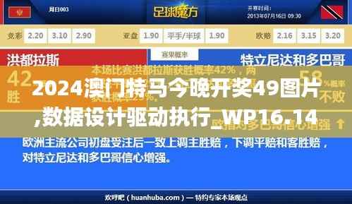 2024澳门特马今晚开奖49图片,数据设计驱动执行_WP16.143