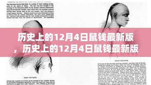 历史上的12月4日鼠钱最新版,深度解析与观点阐述