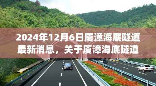 2024年厦漳海底隧道最新进展,跟进项目动态与参与讨论全攻略
