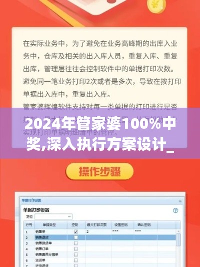 2024年管家婆100%中奖,深入执行方案设计_4DM11.904
