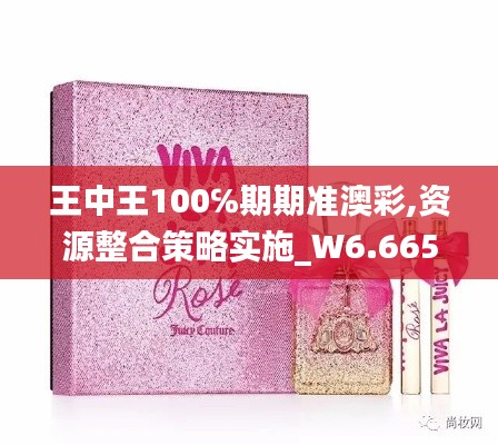 王中王100℅期期准澳彩,资源整合策略实施_W6.665