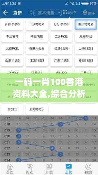 一码一肖100香港资料大全,综合分析解释定义_专属款110.670