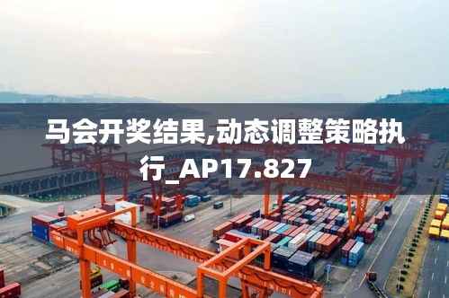 马会开奖结果,动态调整策略执行_AP17.827