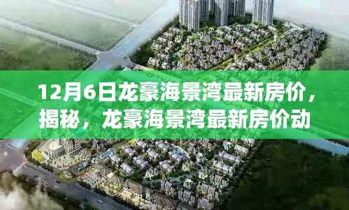 12月6日龙豪海景湾最新房价,揭秘,龙豪海景湾最新房价动态——深度解析十二月六日市场趋势
