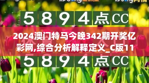 2024澳门特马今晚342期开奖亿彩网,综合分析解释定义_C版11.201