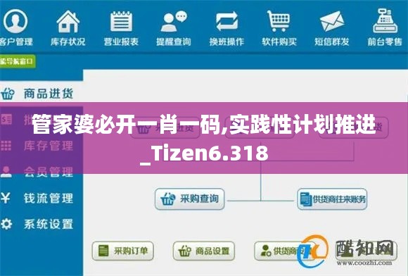 管家婆必开一肖一码,实践性计划推进_Tizen6.318