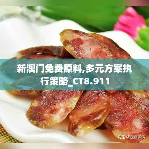 新澳门免费原料,多元方案执行策略_CT8.911