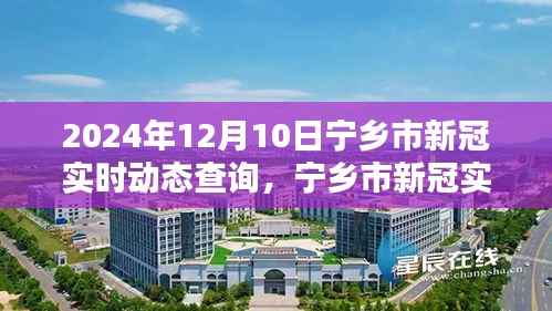 宁乡市新冠疫情实时动态查询系统,共同守护家园的最新信息