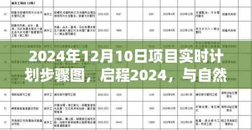 启程2024,与自然美景的不期而遇—— 12月10日项目探险实时计划步骤图揭秘