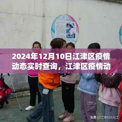 江津区疫情动态实时查询，聚焦2024年12月10日的疫情进展解读报告