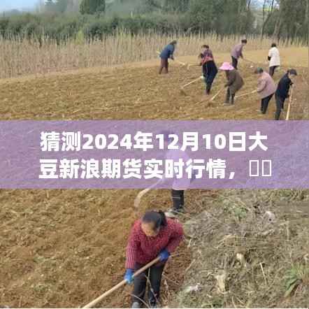 探寻自然秘境,预测之旅——揭秘大豆新浪期货行情静谧时光(预测日期,2024年大豆新浪期货行情分析)