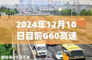 G60高速实时路况播报，温情时光下的奇妙旅程
