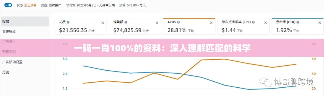 一码一肖100%的资料:深入理解匹配的科学