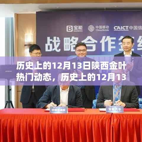 探寻陕西金叶背后的故事与变迁,历史上的十二月十三日热门动态回顾