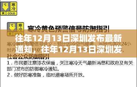 深圳政策解读,最新通知深度解析与影响分析