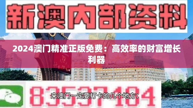 2024澳门精准正版免费:高效率的财富增长利器