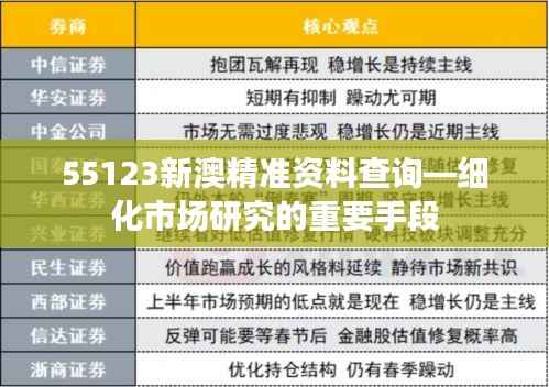 55123新澳精准资料查询—细化市场研究的重要手段