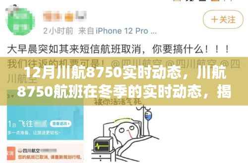 揭秘川航8750航班冬季实时动态，飞行背后的故事独家呈现