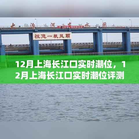 上海长江口潮位实时评测报告,深度解析十二月潮汐动态