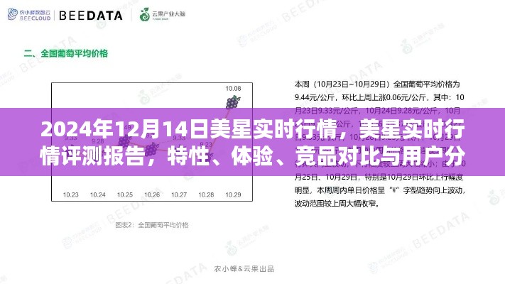 美星实时行情评测报告,特性、体验、竞品对比与用户分析(2024年12月14日版)