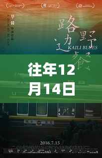 探秘免费实时公交下载地,小巷深处的宝藏与往年公交信息解密