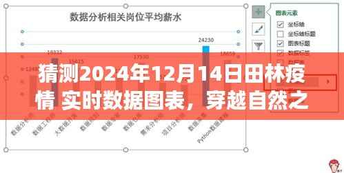 田林疫情实时数据图表预测与穿越自然之美,静待疫情散去之旅的展望