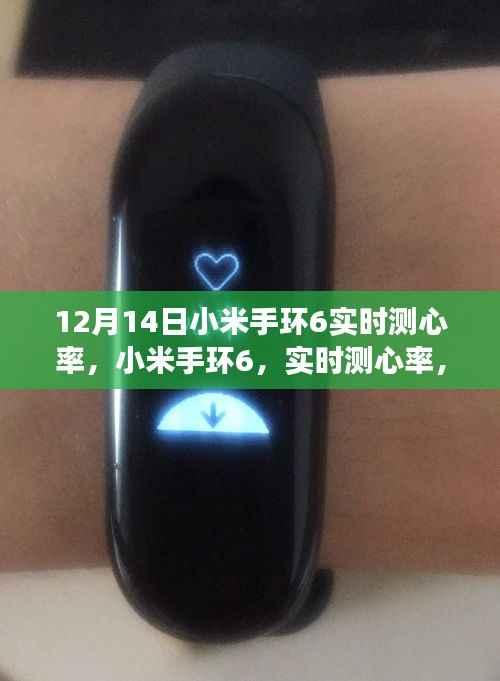 小米手环6实时心率监测，科技守护健康时刻