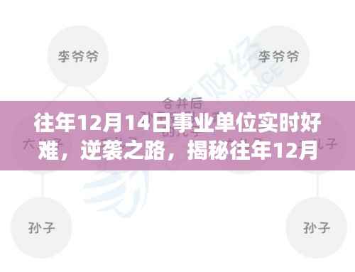 揭秘事业单位考试背后的挑战与突破，逆袭之路，历年12月14日事业单位考试回顾与突破策略