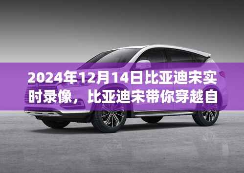 比亚迪宋带你穿越自然秘境,寻找内心平静的旅程纪实录像(2024年1月实拍)