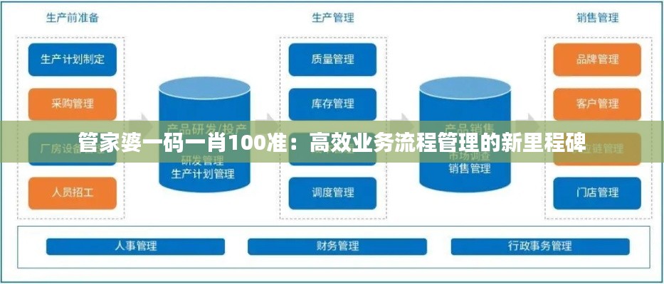 管家婆一码一肖100准：高效业务流程管理的新里程碑