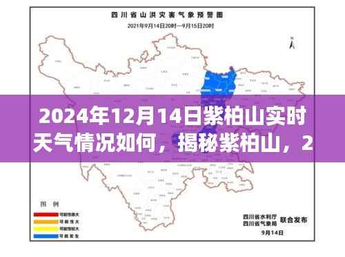 揭秘紫柏山，2024年12月14日实时天气洞察与详细情况分析