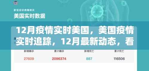 美国疫情最新动态,12月实时追踪与报告