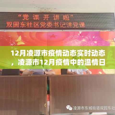 凌源市十二月疫情动态,温情日常中的守护与陪伴力量