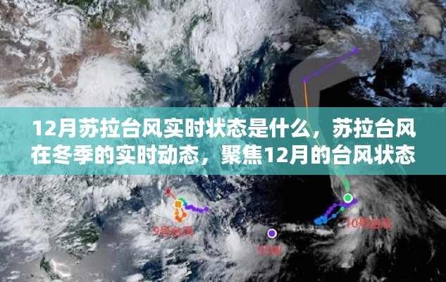 聚焦12月苏拉台风实时动态,冬季台风状态解析